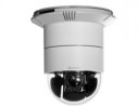 D-Link Купольная сетевая высокоскоростная VGA-камера, день/ночь DCS-6616/A1A